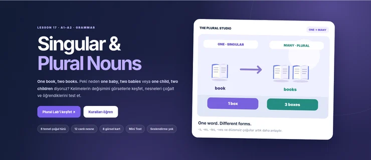 Singular Plural Nouns interaktif dersinin ekran görüntüsü